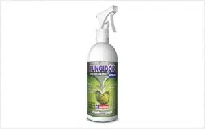 Mata fungo Spray 500 ML