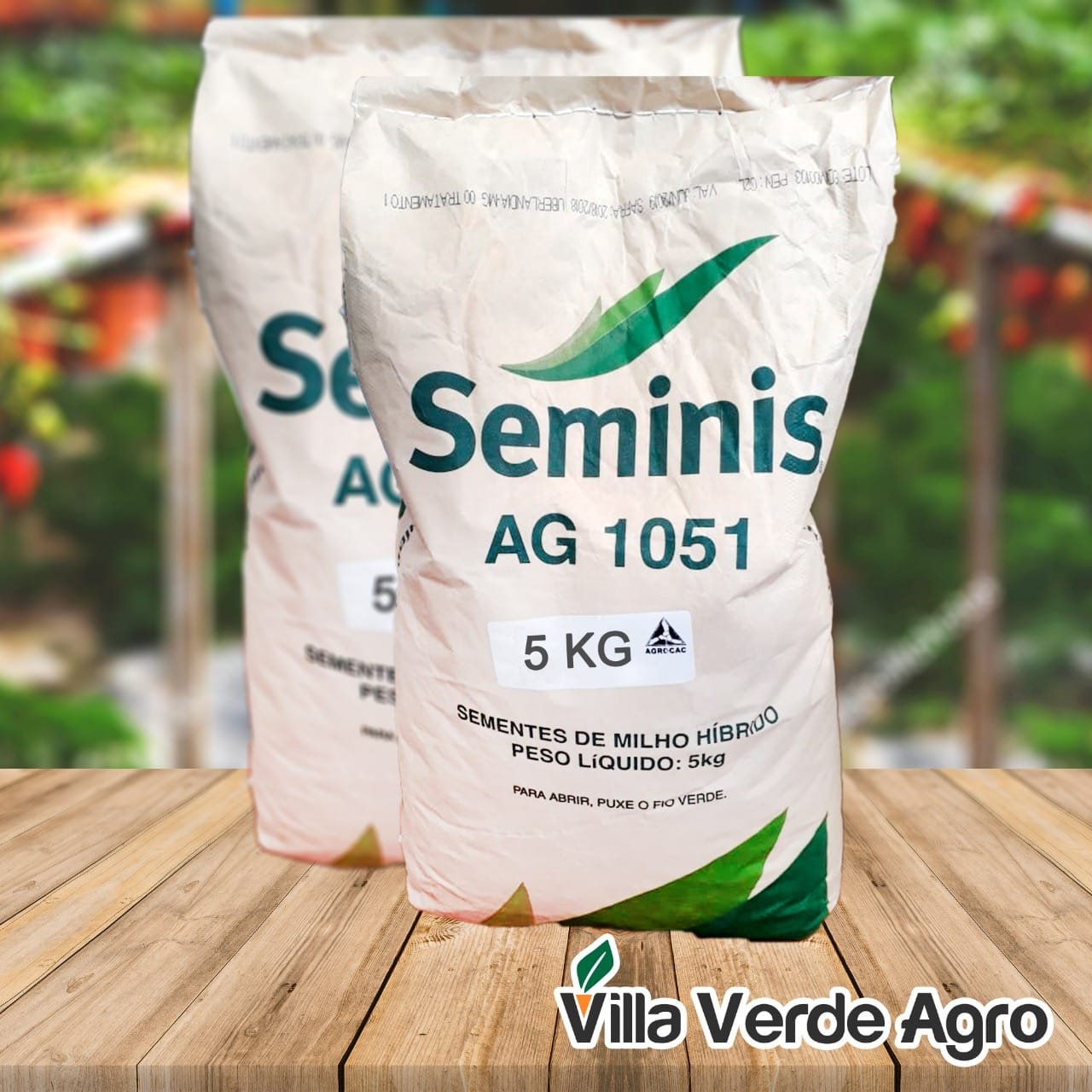 Seminis Semente Milho Hibrido Ag1051 5kg - Villa Verde Agro