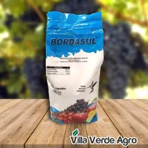 Bordasul Calda Bordalesa - 2kg