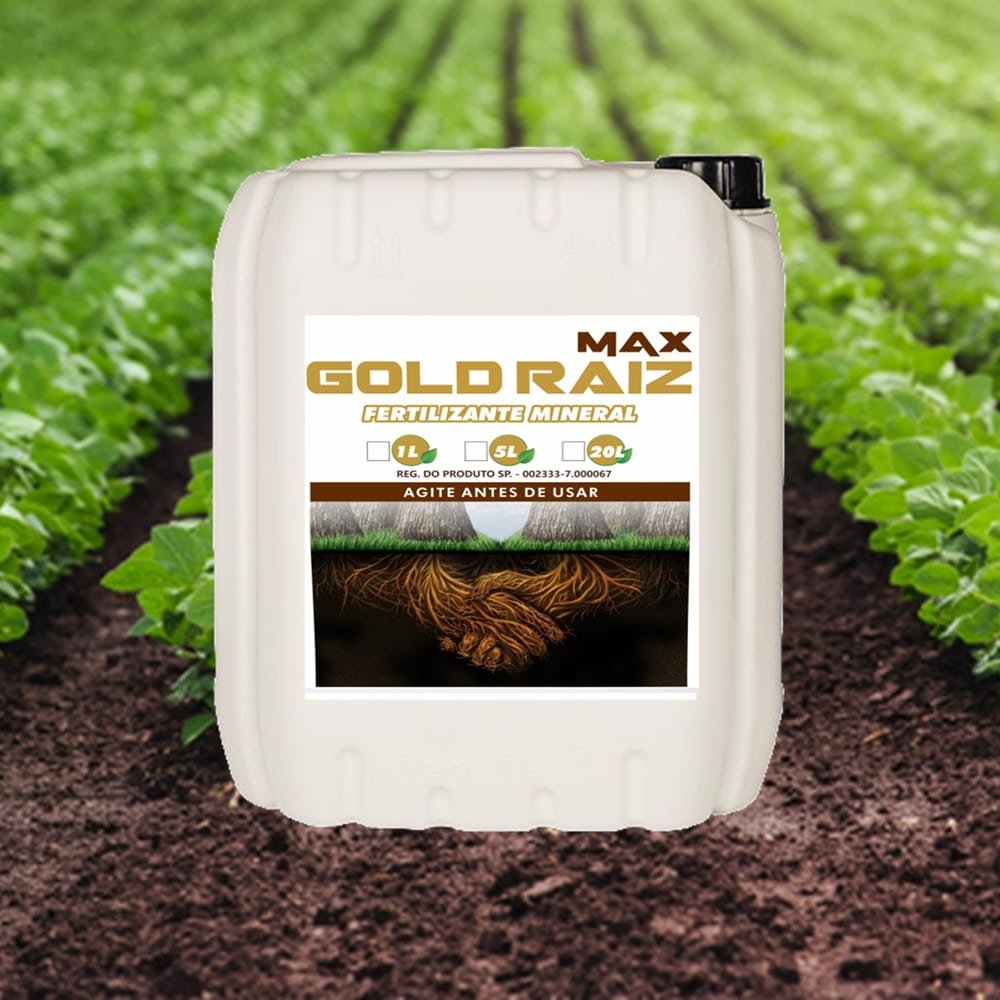 MAX GOLD RAIZ
