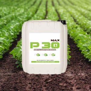 MAX P30