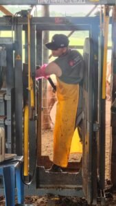 Avaliação do trato reprodutor em bovinos