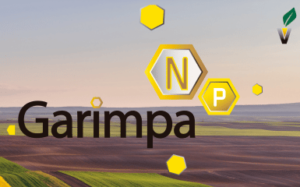 Garimpa