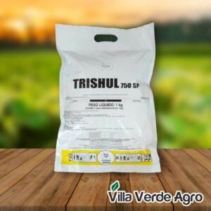 Trishul