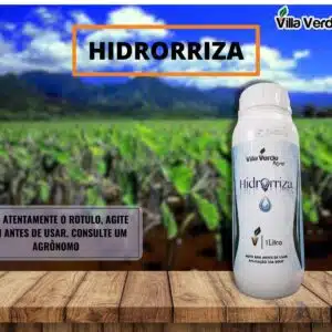 Kit Hidrorriza Aditivo Biológico 1L + 1L de Aviva