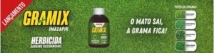 Gramix Mata Tiririca E Plantas Daninhas Em Gramado 100 Ml
